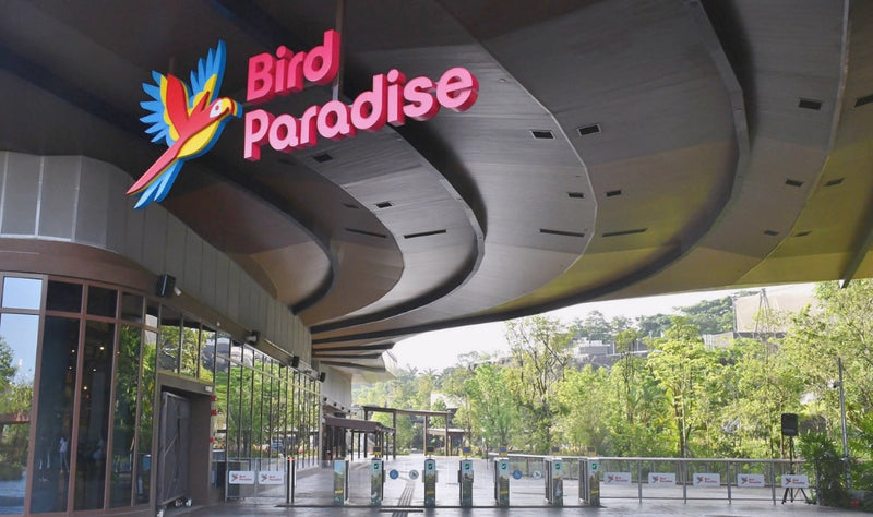 The Bird Paradise